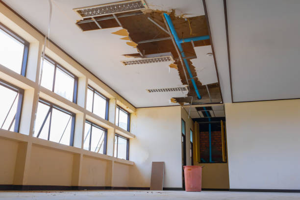 Best Water damage restoration process  in St Martinville, LA