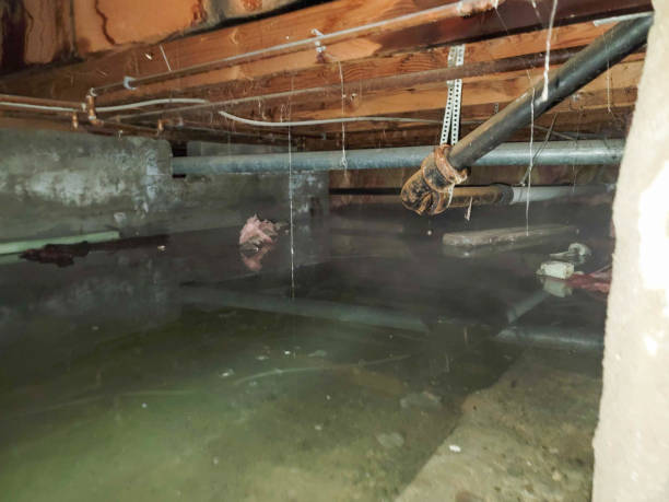 Water damage restoration process in LA