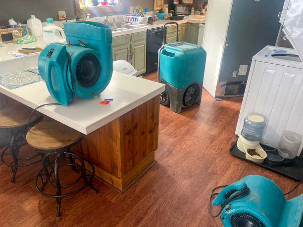 Best Commercial water damage restoration  in St Martinville, LA
