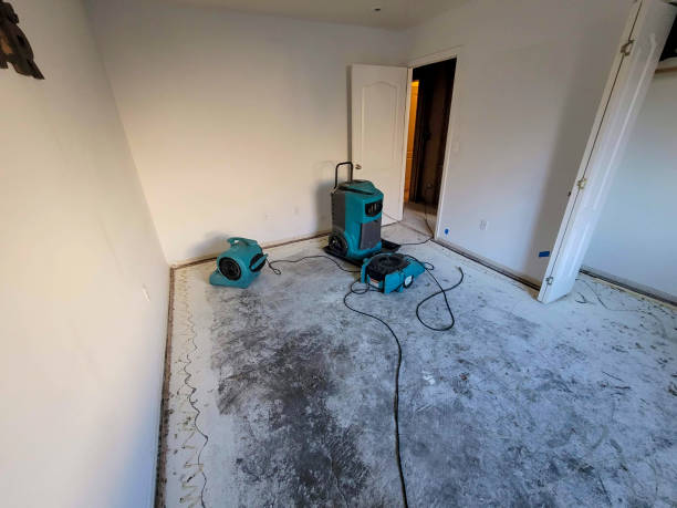 Best Water damage contractors near me  in St Martinville, LA