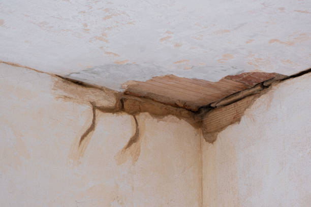 Best Carpet water damage restoration  in St Martinville, LA