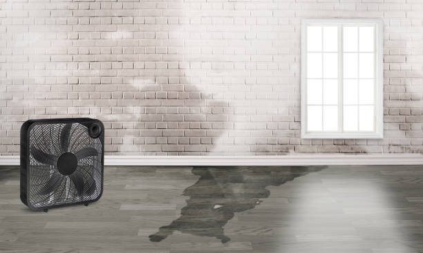 , LA Water damage restoration Company