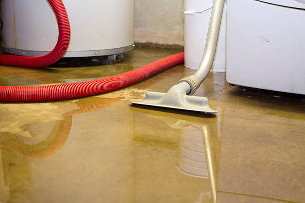 Best Ceiling water damage repair  in St Martinville, LA
